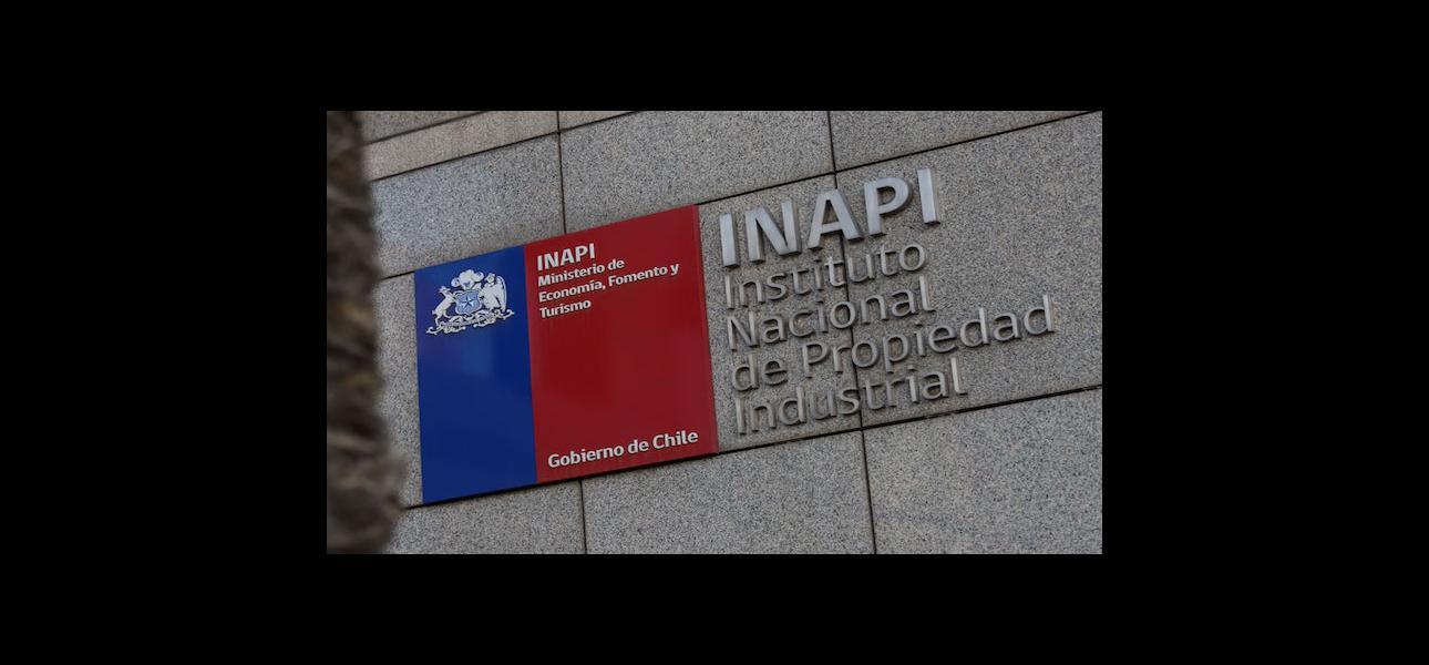 INAPI lanza plataforma para ayudar a emprendedores y emprendedoras que cuentan con sello de origen